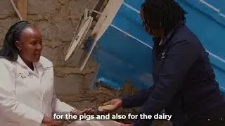 From Small Pig Farm to KEBS-Certified Feeds | Naomi's Agribusiness Journey