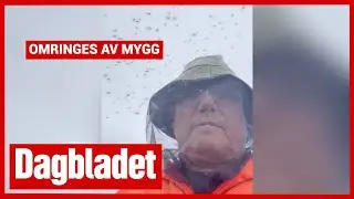 Omringes av mygg