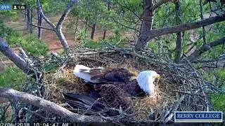 berry eagles  feb6 2018 defensive postion