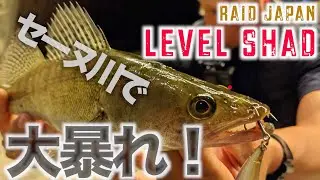 パリセーヌ川で初パイクに初ザンダー！！｜レイドジャパン｜レベルシャッド｜Huerco XT511-5S｜ストリートフィッシング｜パリセーヌ川｜