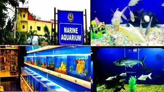 Paradip Marine Acquarium /Paradeep Aaqurium/Fish Market Paradip/Paradip/Smruti Tv/Fish/Acquarium
