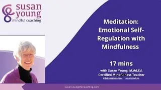 Meditation: Emotional Self-Regulation with Mindfulness, 17 mins