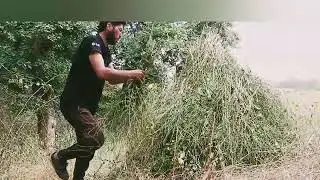 solo bushcraft & camping in the forest.survival skills
