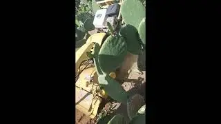 PROBANDO MOTOCULTOR XB40 PASCUALI