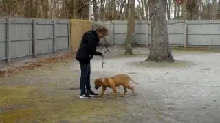 Max