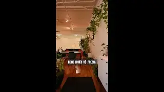 C&oacute; n&ecirc;n mua Fresia Bi&ecirc;n H&ograve;a?