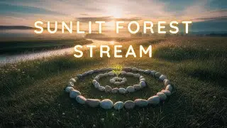 Sunlit Forest Stream | 1 Hour of Gentle Nature Relaxing Music for Calm, Stress Relief