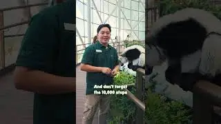Day in the life of John the zoologist | The Green Planet