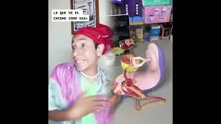 🤣👌👌👌2025 pov Must-Watch Crazy Clips Compilation #humor #fypシ #pov #fyp #foryou 😍😜