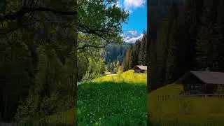 Morning Routine That Will Change Your Life!🌄 @Digital-Engineer56  #views #beautiful #beauty #video