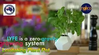 Levitating Planter levitating plant pot lyfe levitating plant pot DIY Levitating Succulent Planters