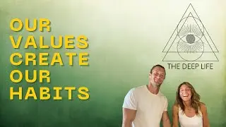 Our Values Create Our Habits | Momentum Strength & Wellness