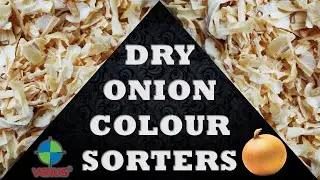DEHYDRATED ONION COLOUR SORTER MACHINE VENUS  RGB GLOBAL