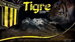 Mirando Esta El Illimani