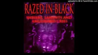 Razed In Black &lrm;&ndash; Cyberium  [ᴏɴ ꜱᴘᴇᴇᴅ]