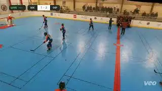 Spiders de Rouen vs Old spiders