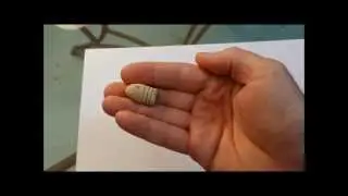 Metal Detecting Virginia 2014