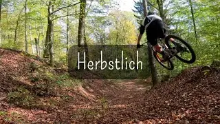 Herbstliche Recovery MTB Trailrunde // Propain Tyee / Gopro Hero 11 / 4K