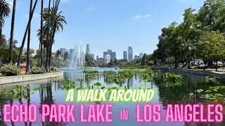 A Walk Around Echo Park Lake in Los Angeles