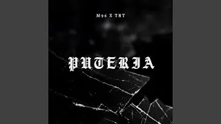 Puteria