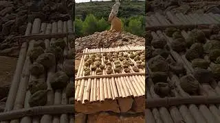 &iquest;Como secar higos?