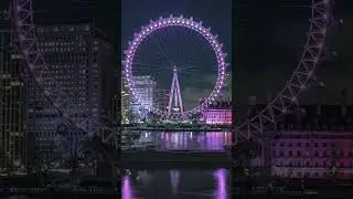 World photography day.   London photography