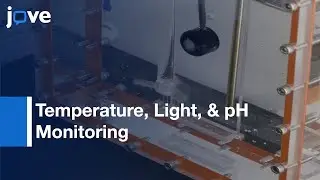 Construction & Setup Of Bench-Scale Algal Photosynthetic Bioreactor l Protocol Preview