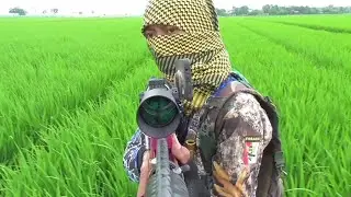 Legenda..‼️ Ahli Nya Berburu Burung Mandar Sawah