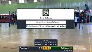 Buffaloes vs. Falcons 🦅 (2025.07.13)