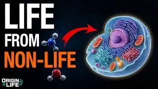 The Story of Life - Episode 1: What Are Cells Made of?
