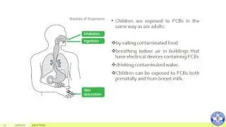 ENVIRONMENTAL TOXICOLOGY LEC part 1