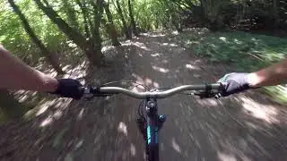 Grovely Woods MTB