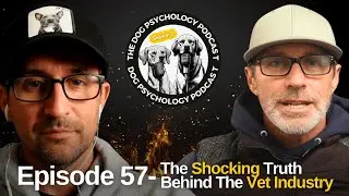 The Dog Psychology Podcast #057- The Shocking Truth Behind The Vet Industry
