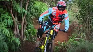 Fox Spring 2016 DH Flexair