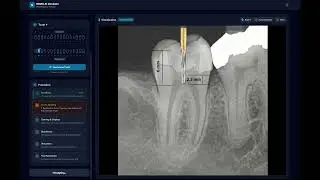 Nemo AI Simulator