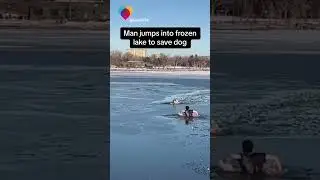 Man jumps into frozen lake to save dog #shorts