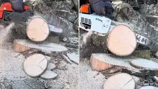 Husqvarna T540xp mkIII vs Stihl MS201t