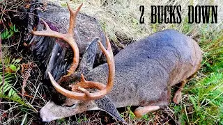 MY BIGGEST BUCK EVER!!! 4x4 Oregon Coastal Blacktail Hunt