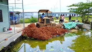 Complete the plan to pour red soil into the grass and drain the sewage system.