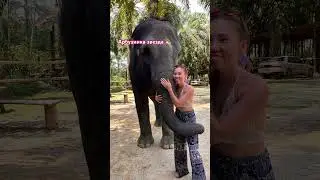 Звезда наша &hearts;️ #travel #cartok #beach #волосы #elephant #модель #dolphin#тайланд#море #summer #отдых