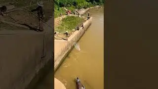 Reallife fishing in river for food #fishing #catchfishtechnique #catchingfish #fish