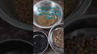 sugar and diabetes problem solution #shorts#healthtips#homecaretips#ayurveda#punjabi#medicine#