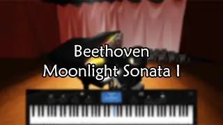 Beethoven - Moonlight Sonata I | Roblox Piano