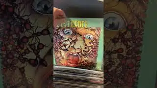 Brief overview of my heavy metal vinyl collection