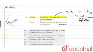 Assertion: Synthesis of DNA takes place in the S. phase of interphase.  Reason: