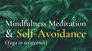 How to Pay Attention in Mindfulness Meditation