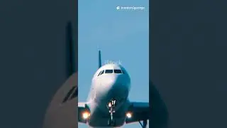 Ever Wondered Why Airplanes Have Two Engines?? #airplane #reels #facts