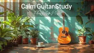 Acoustic Guitar Music for Relaxation | Calm Fingerstyle Instrumental Study & Focus