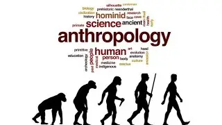 Part - B| Archaeological Anthropology| linguistic Anthropology|