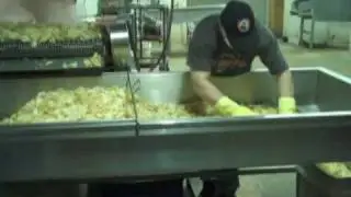 OLE SALTY'S Potato Chip Factory Tour